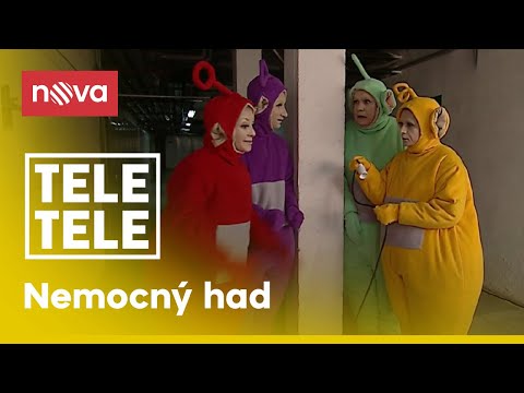 Uzdravíme hada, uzdravíme hada, uzdravíme hada I Tele Tele I Voyo