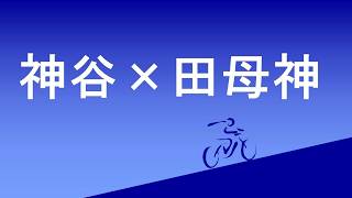 神谷・田母神会談を深堀り解説しました