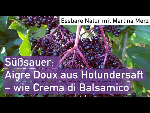 Fruchtiges Aigre Doux aus Holundersaft, ähnlich Crema di Balsamico