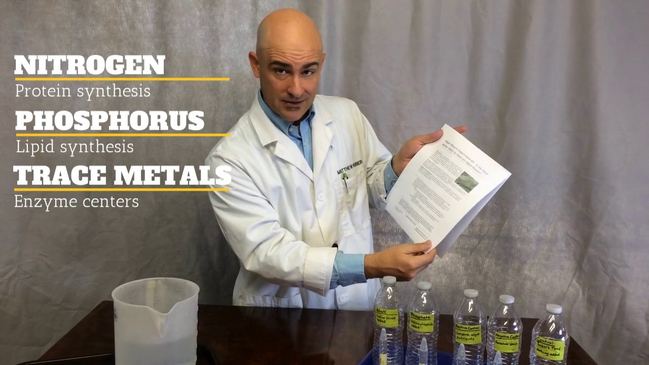 Algae Bloom Kit: Is my water nutrient limited?