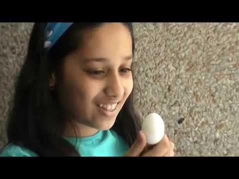 Pranav Anand SHORT FILM-...