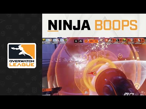 Stealthy Moth's Beautiful 3k Boop