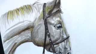 Faber-Castell Pitt Artist Pen - Drawing Demonstration