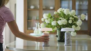 Download the video "Design By Us: TRIP No. 2"