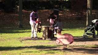 Wyoming Community Centered Healthy Relationship Project - Mary Olson