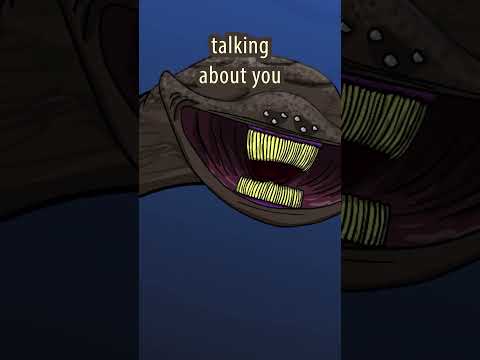 El Gran Maja's Ears Are Burning. Bloop! #shorts