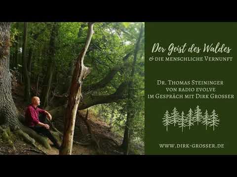 Radio Evolve: Der Geist des Waldes / Dirk Grosser