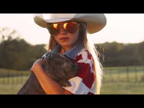 The Great American Pig Races