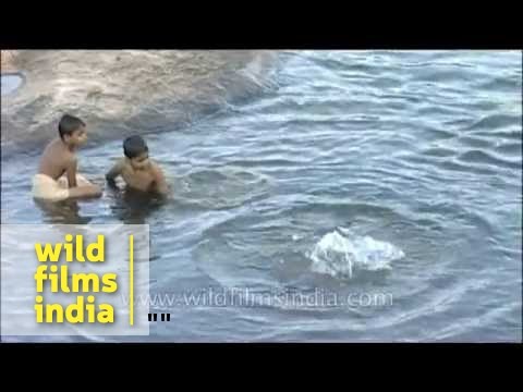 Young boys swimming in a river in Kerala