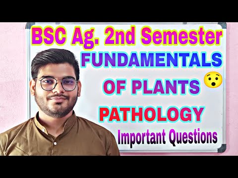 crop physiology bsc agriculture important questions crop physiology bsc agriculture 2nd semester