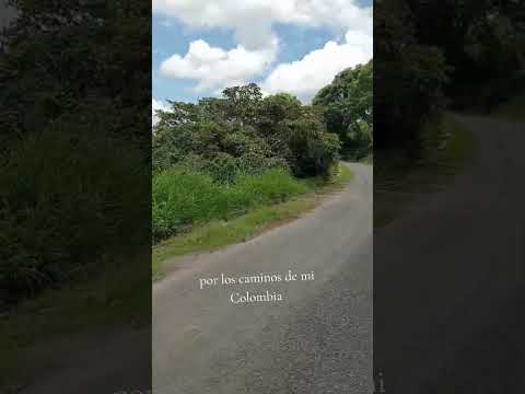 veredas de santuario  Risaralda...