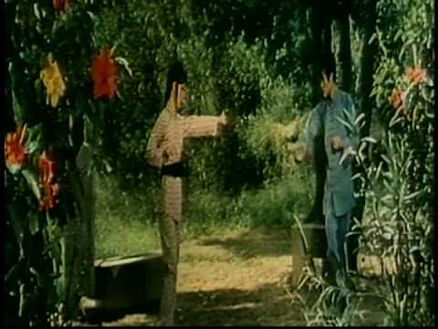 Infernal Street 1973