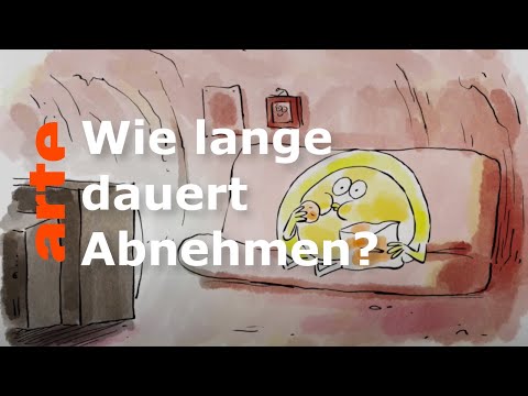 Why is losing weight such a hassle? | He who doesn't ask questions dies ignorant! | ARTE