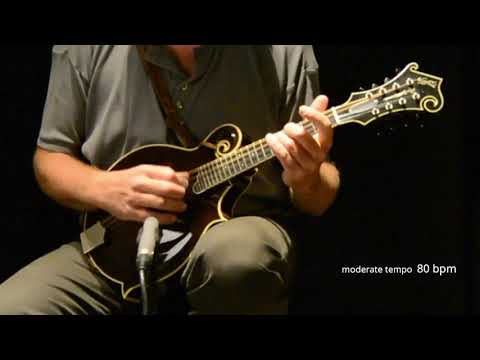 Learn how to play "salt spring" by John Reischman