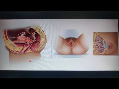 1 introducción aparato reproductor femenino