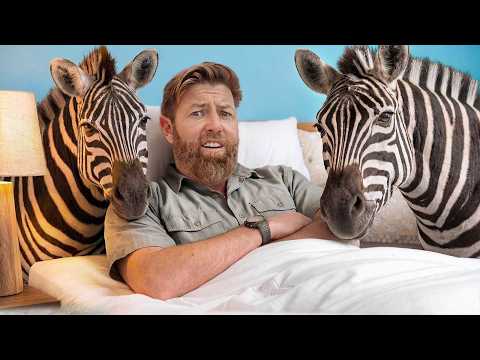 I Stayed at America's Best 'Animal Airbnb'