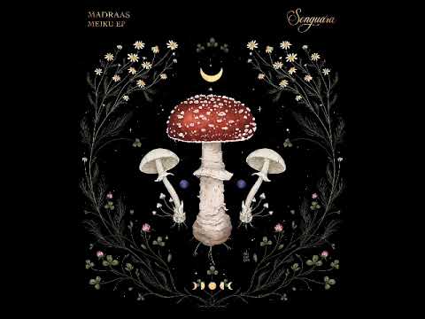Madraas - Meiku (Original Mix)