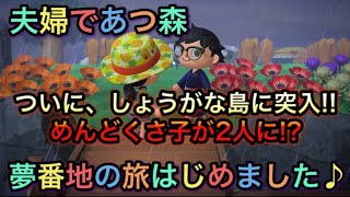 初めて夢番地を使って妻が夫の島へ!! ジュンやケチャップに会いたい!!【あつまれ どうぶつの森】