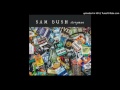 Sam Bush - Transcendental Meditation Blues