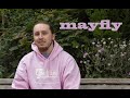 Mayfly