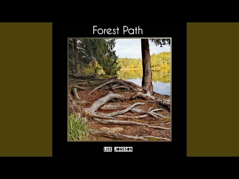 Forest Path Piano Performance Video
