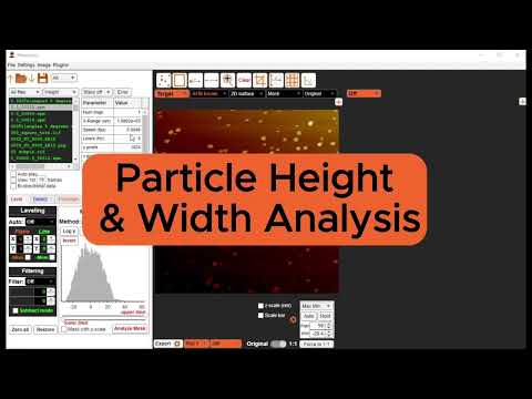 YouTube NanoLocz Height + Width Analysis