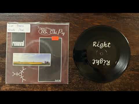 Removal with Mr. Chi Pig (of SNFU) 7" 2000 [Progressive Metal / Punk Rock]