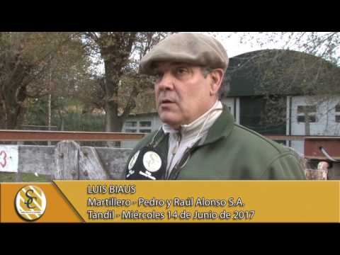 14-06-17 Nota Luis Biaus - Pedro y Raul Alonso S.A. - Tandil