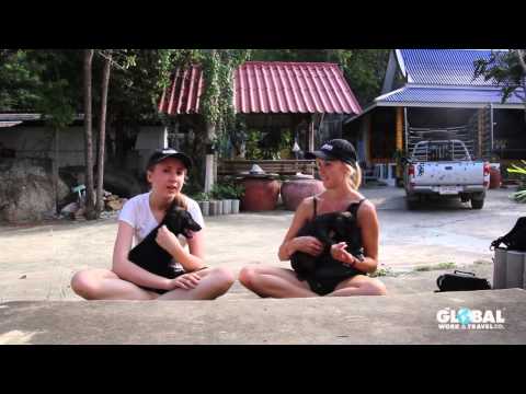 Street Dog Rescue & Rehab in Thailand with Elisha - Global Work & Travel Reviews