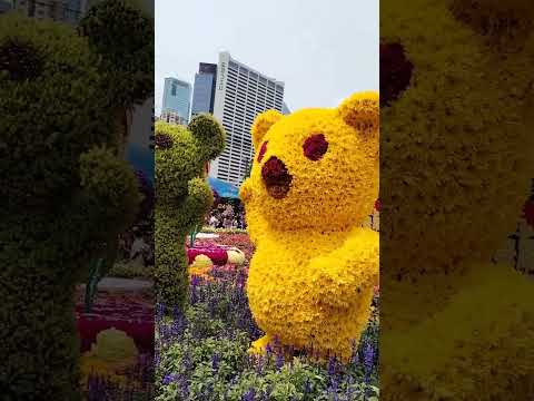 2024 FLOWER SHOW HONG KONG 
