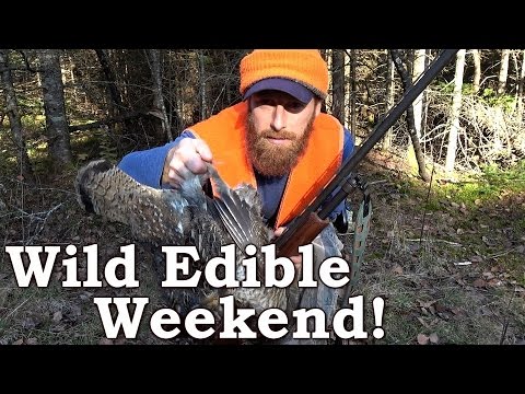 Cooking in the WILD! | Bear Fat, Nuts and More Ep1 Video