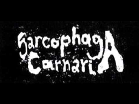 Sarcophaga Carnaria - Untitled