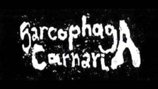 Sarcophaga Carnaria - Untitled