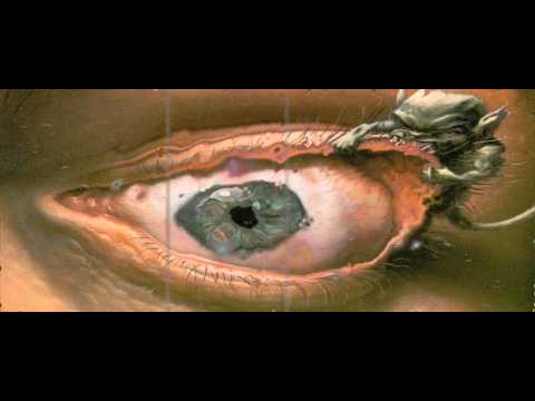 Farflung- No Circuit