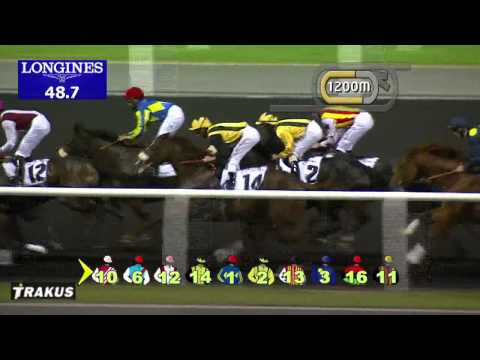 18.01.2014 Meydan (Dubai-UAE) 1.Race Hayat 95.6 - Maiden 1.900 m