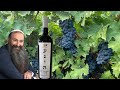 Rabbi Anava's NEW wine is available to purchase - Link in description