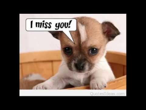 BX3081 Interactive Marketing Assessment 3 SP52 2016 - Team 28