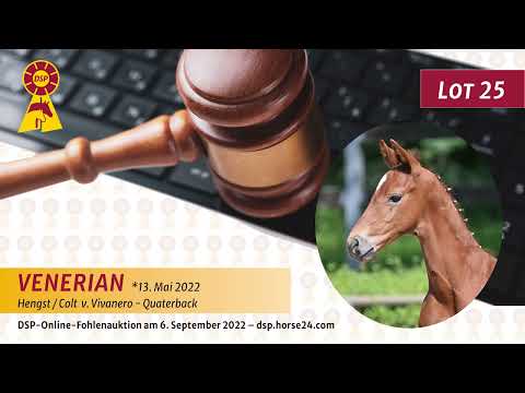 25 Vivanero   Quaterback