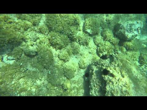 Holiday at Ivan Dolac August 2015 - 01