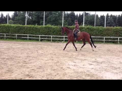 Pauli auf Londontime