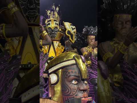 Primeira noite do desfile no sambódromo do Anhembi 2024 ✨ #carnaval #saopaulo #dragoesdareal #sp
