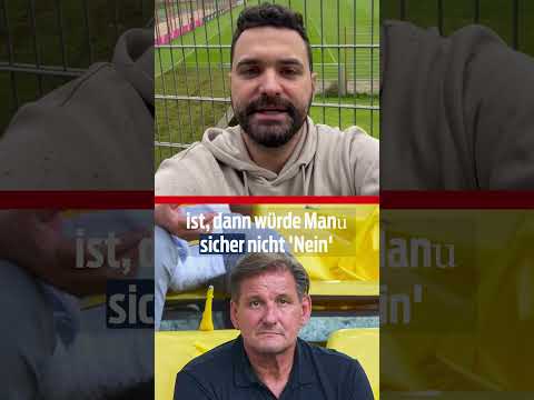 MANUEL NEUER: Der Bayern-Torhüter als WM-Hoffnung?