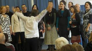 Doubtful Sounds concert at Aro Community Hall- Aro St - on 29 May 2010