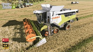 FS25 | Claas Trion 720 Triticale harvest | ReShade Gameplay