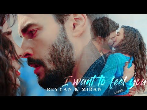 Reyyan & Miran [ i want to feel you]