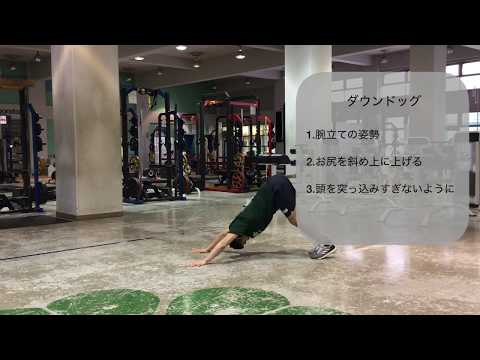 体育学科 ダウンドッグ