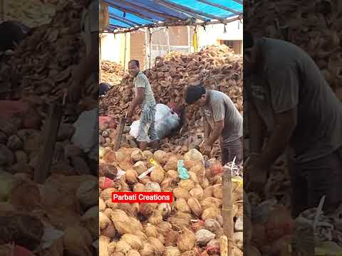Maa Tarini #ytshorts #kendujhar #ghatagaontarini #odisha #nature