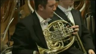 Strauss's Ein Heldenleben, Horn Solo
