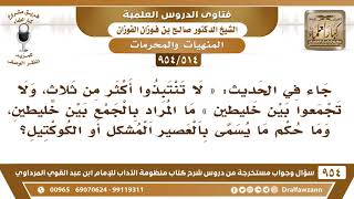 صورة [514 -954]  في الحديث «لا تنتبذوا أكثر من ثلاث، ولا تجمعوا بين خليطين» ما المراد بالجمع بين خليطين..