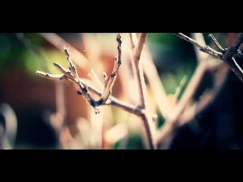 sony alpha 57 - autofocus test